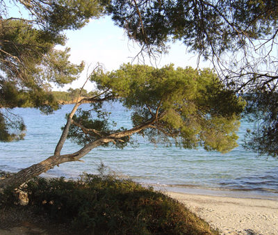 Het strand van Estagnol