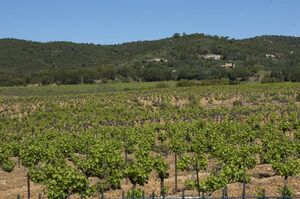 Hyères Chalets voordelig groot gezin