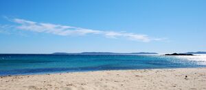 Camping vlak bij het strand en bij de plaats Le Lavandou in de Provence