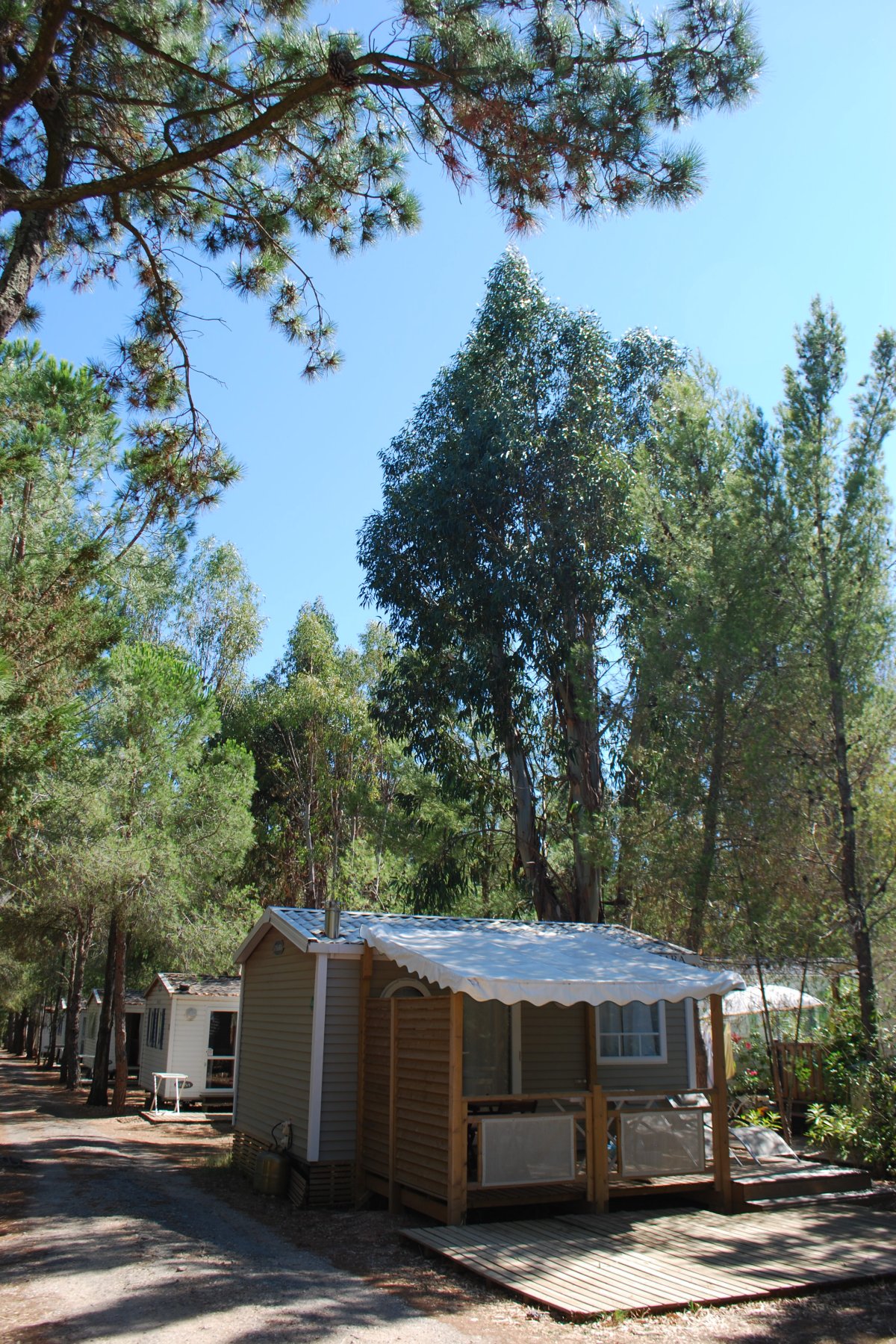 mobile-home-privilege-1-2-3-11