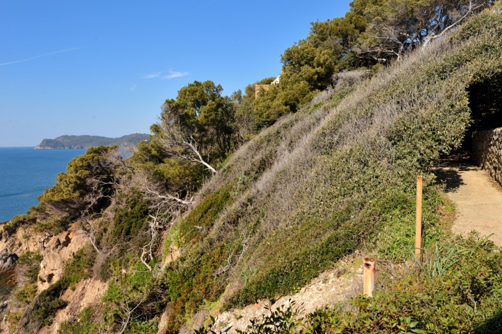 sentier-du-littoral-presqu-ile-de-giens