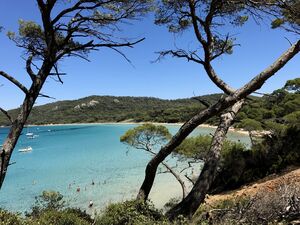 Camping Provence vlak bij Porquerolles