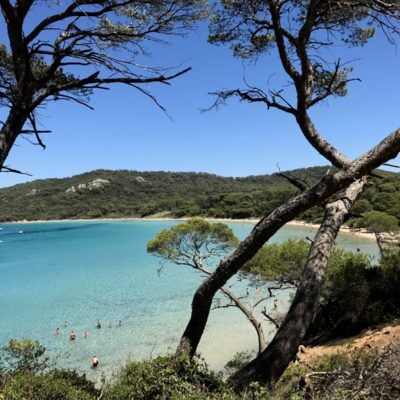 Het Gouden Eiland Porquerolles