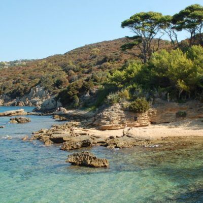 Camping Provence dicht bij het eiland Le Levant – Hyères