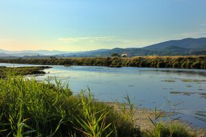 Camping Les Jardins de la Pascalinette ®