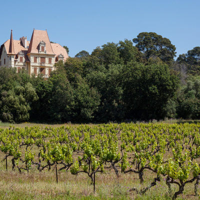 Wijndomein Château des Bormettes