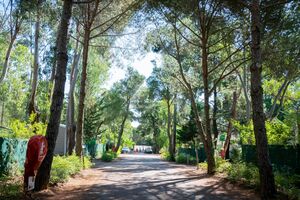 Camping in de natuur slowlife aan de Côte d’Azur