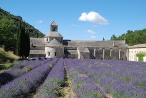 Abdij van Sénanque, geestelijk erfgoed van de Provence