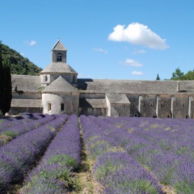 De Abbaye de Sénanque