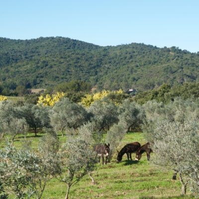  De Moulin du Haut Jasson