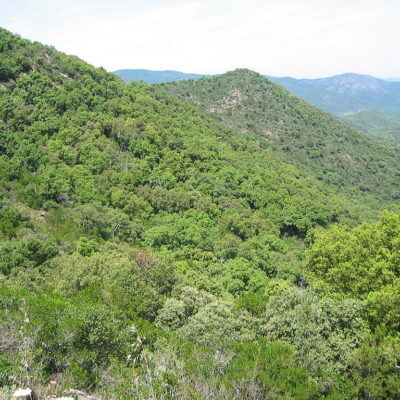 Het Massif des Maures