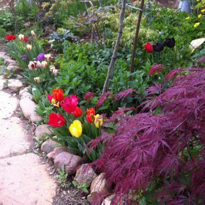 De botanische tuin van Le Réal – Puget-ville