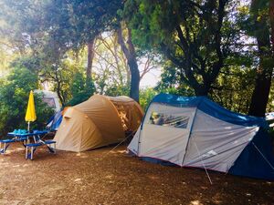 Camping Les Jardins de la Pascalinette ®