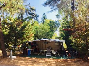 Camping Les Jardins de la Pascalinette ®