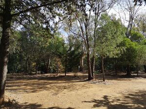Geweldige locatie in de Var in goedkope camping