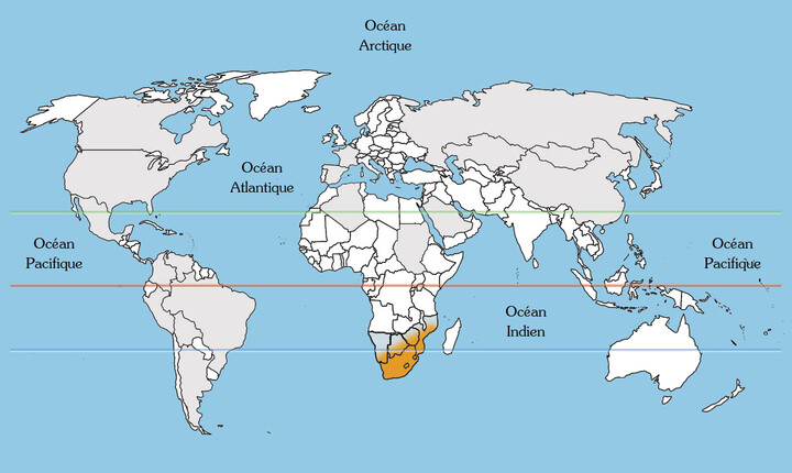 Kaapse kamperfoelie