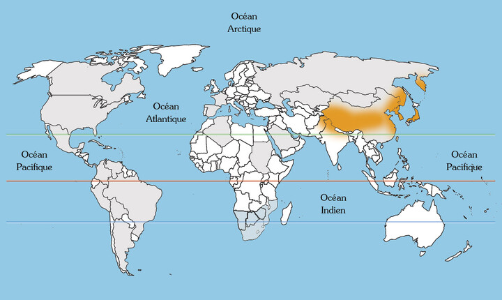 Japanse bananenboom