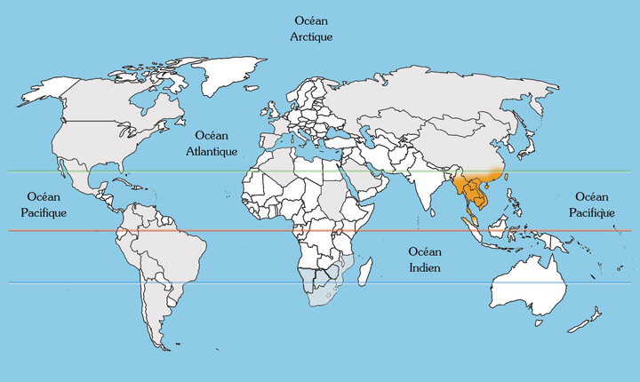 Australische bonte laurier