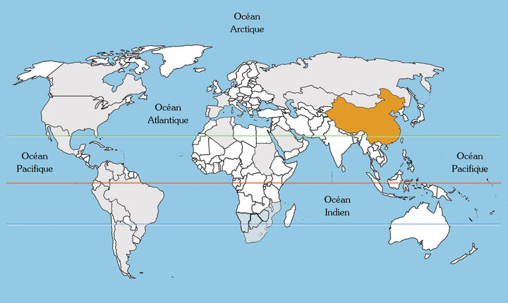 Japanse mispel / Loquatboom