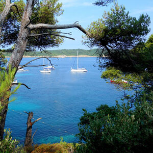 Camping Porquerolles Le Levant Port-Cross