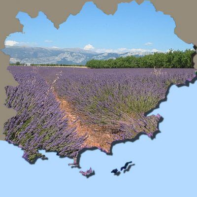 Maak een wereldreis binnen de regio de Provence in Zuid-Frankrijk