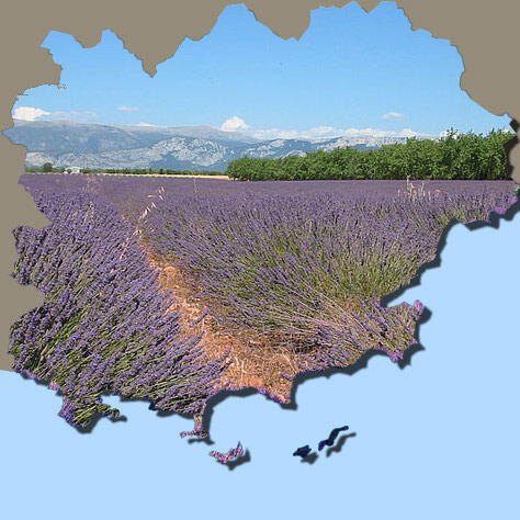 Ontdek de Provence