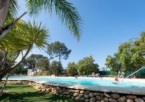 Camping zwemparadijs met palmbomen Hyères