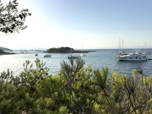 Vakantie in de Provence op de camping - Hyères