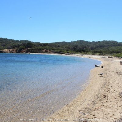 Het strand 'Langoustier' (Porquerolles)