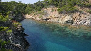 Camping Les Jardins de la Pascalinette ®
