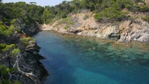 Camping Les Jardins de la Pascalinette ®