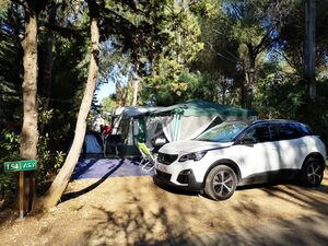 Staanplaats Confort Caravan Camping La Londe Provence
