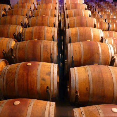 Wijndomein Domaine des Escaravatiers in Puget-sur-Argens