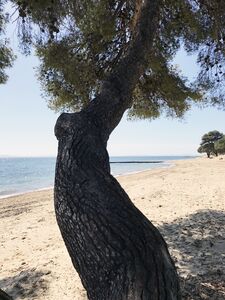 Zandstrand met schaduw in de Provence