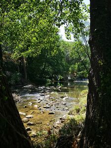 Bezoek de Provence en het kasteel van Entrecasteaux