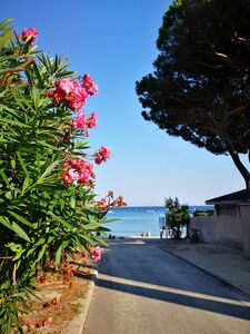 Plage de Pramousquier au Lavandou