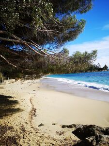 Mooi strand aan de kust van de Provence