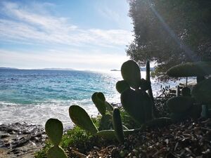 Zandstrand in Le Lavandou