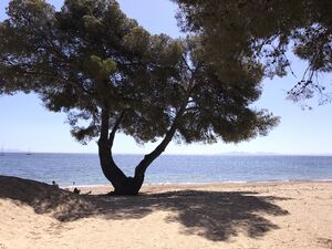 Zandstrand in de Provence