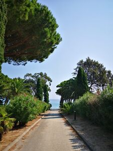 Plage de sable naturelle et conviviale