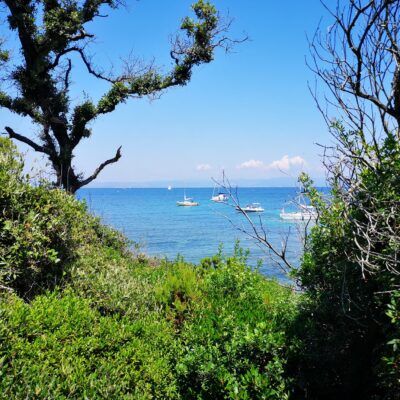 Plage de l'Aiguade in Porquerolles