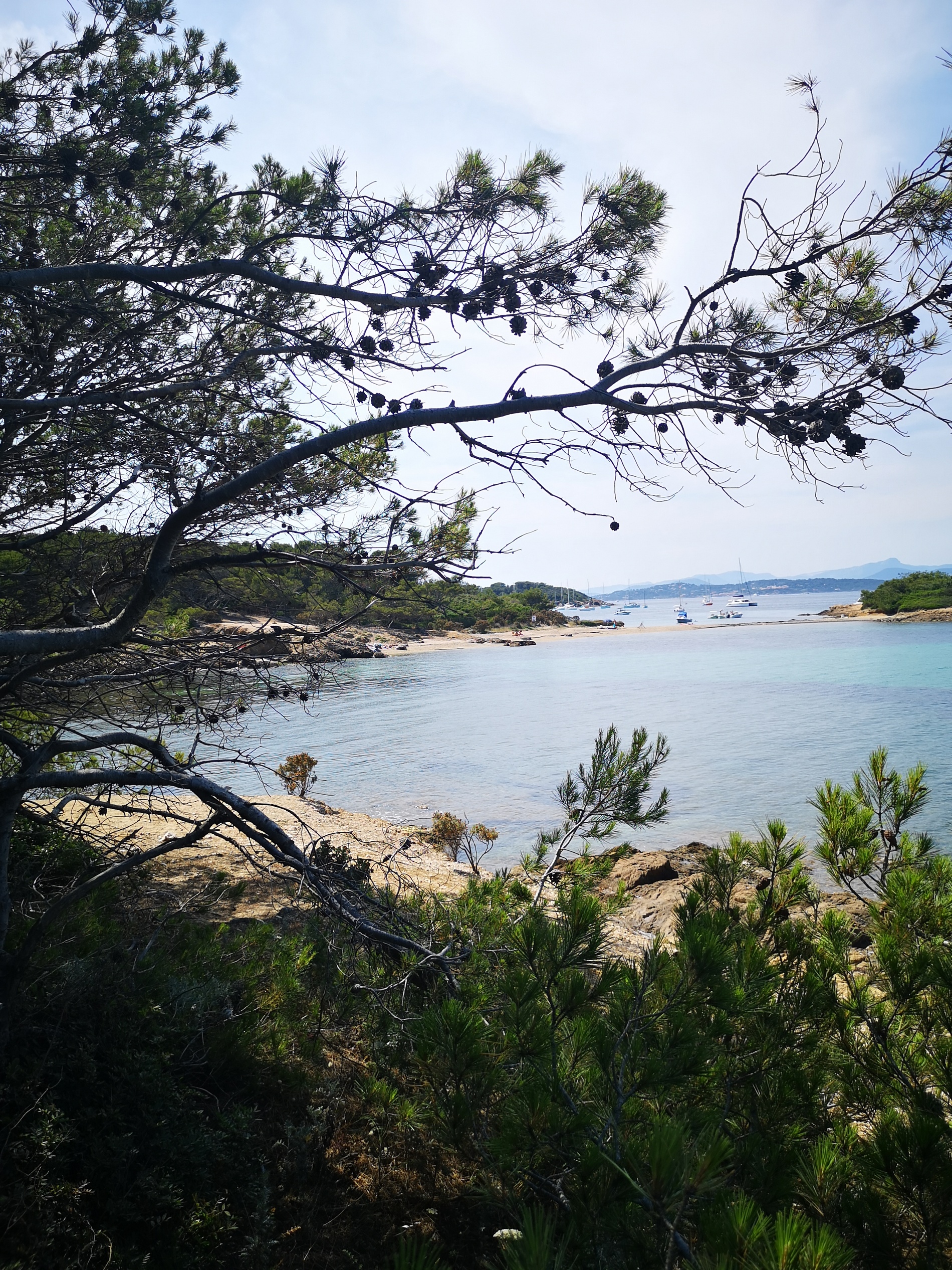 camping-var-bord-de-mer-porquerolles