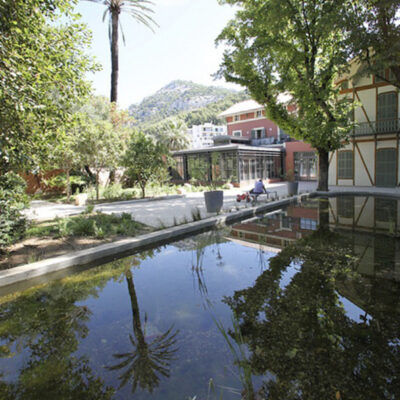 Op vakantie in de Provence, vlakbij je camping dicht bij zee, vind je het departementale Museum van Le Var en de onderscheiden Jardin du Las. Met bomen en planten uit de hele wereld.