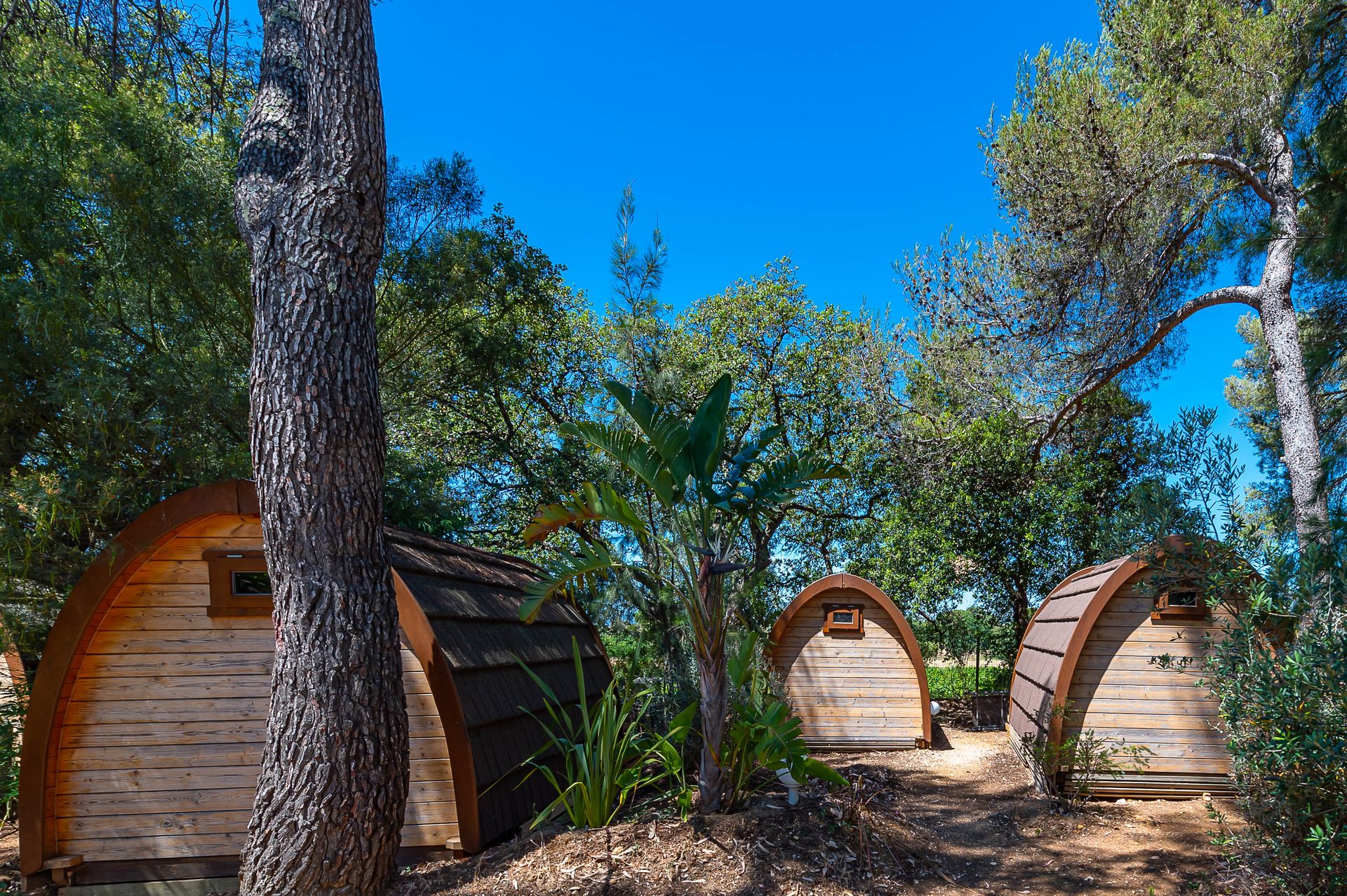 Verhuur van blokhutten op camping in de Provence