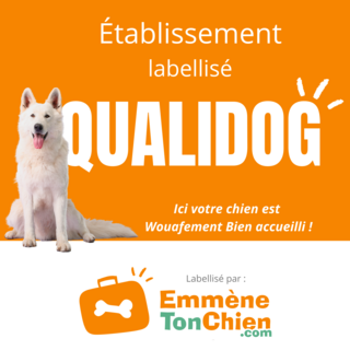 Neem je hond mee naar 4 sterrencamping Les Jardins de La Pascalinette®!