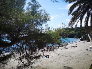 Het Miramar-strand in de Provence