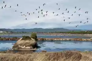 Beschermd vogelreservaat in Hyères, Côtes d’Azur