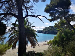 Het strand van Miramar is een zandstrand in de Provence