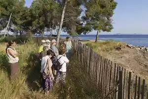 Uitstapje naar de zoute moerassen van Hyères in de Provence