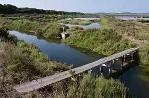 Bezoek aan de natuur in de Provence
